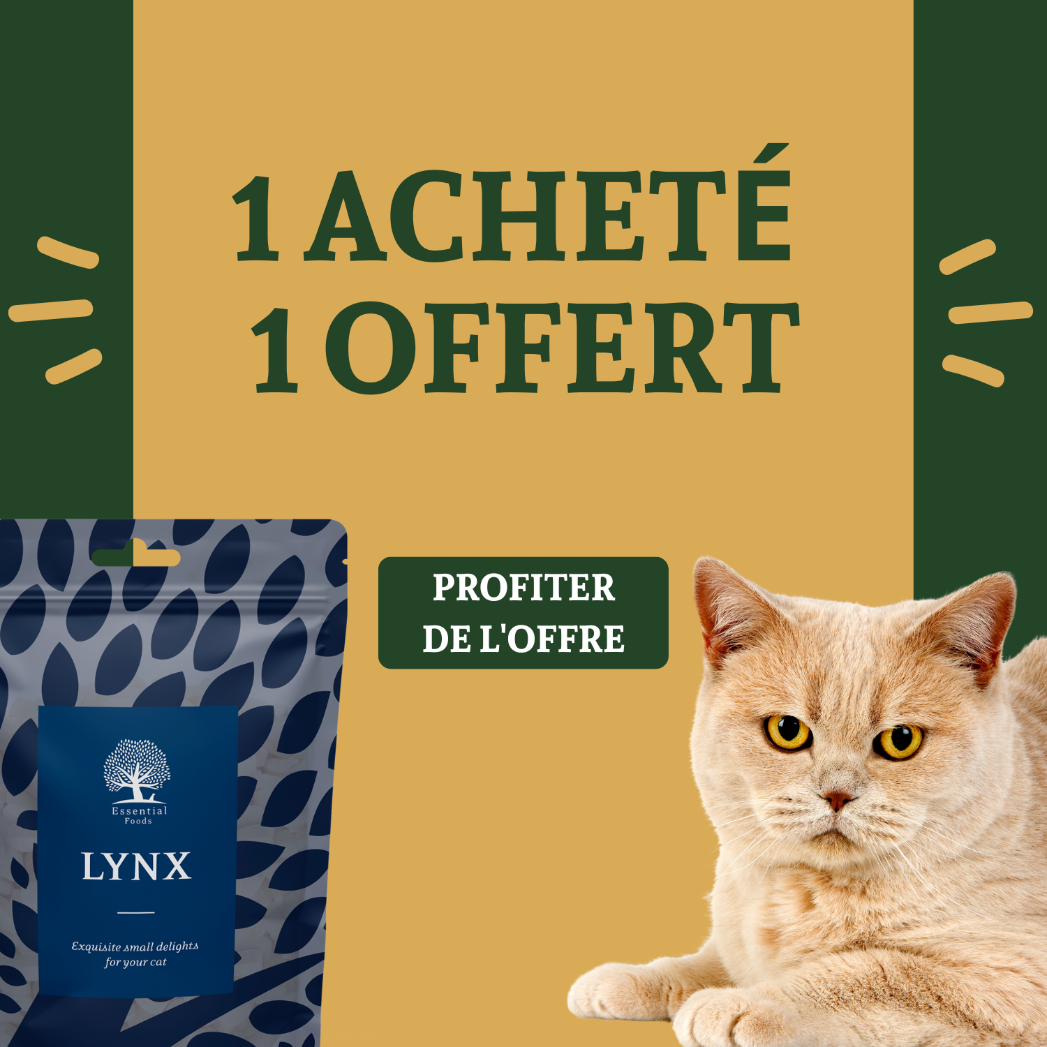 Promo_lynx